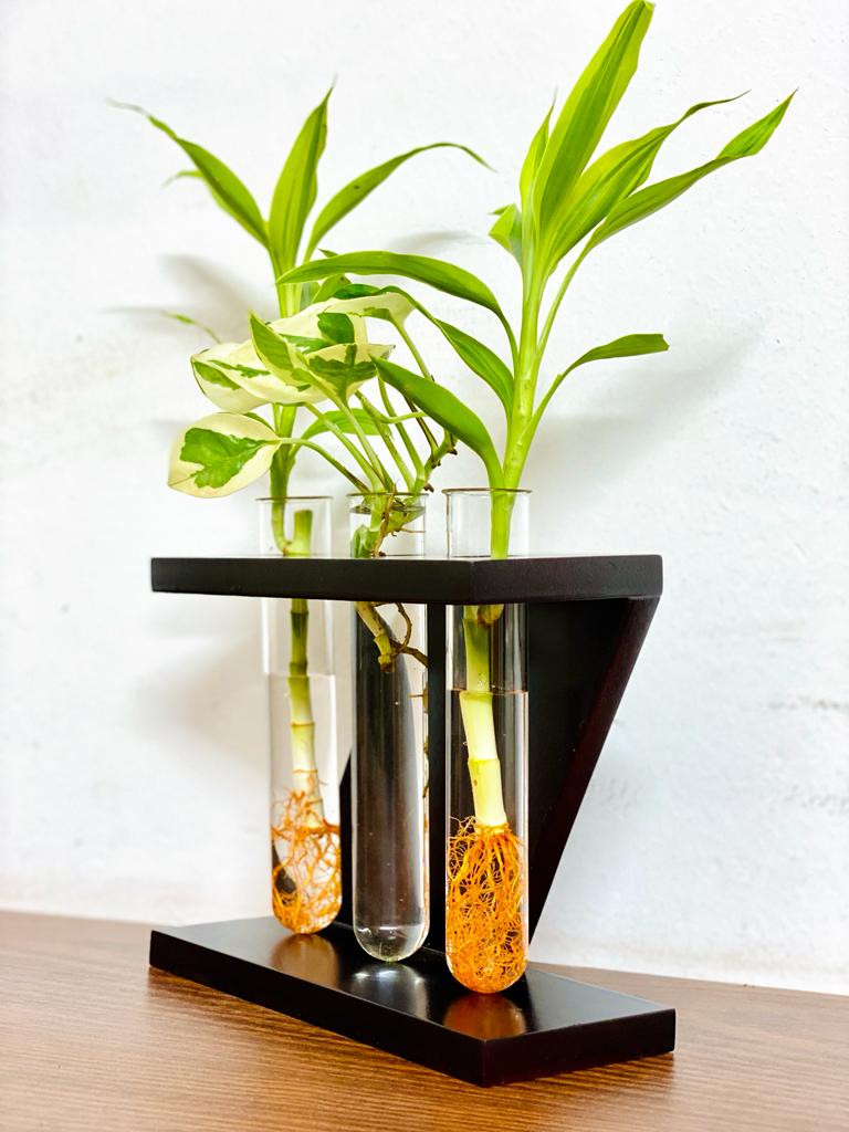 Picture of Plant Holder Vase For Home And Office  Desk Decoration