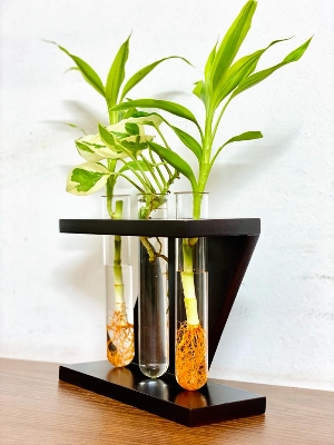 Picture of Plant Holder Vase For Home And Office  Desk Decoration