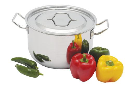 Buy Induction Sauce Pot With SS Lid & Handle 22 cm at Best Price In Bangladesh