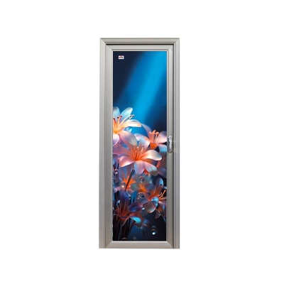 Picture of Protector Aluminium Glass Door Rain Lily LH 82'' *30'' 