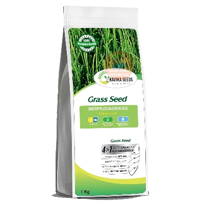 Picture of Imported Bermuda Grass Seed 1gm Pack