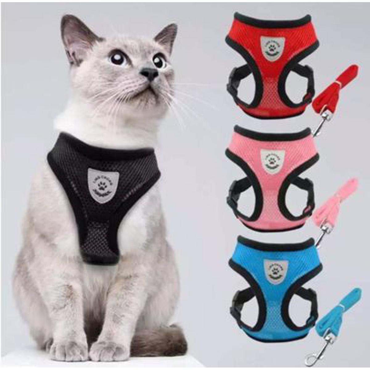 Picture of Kitten Cats - Small Dog Puppy Jacket With  Harness