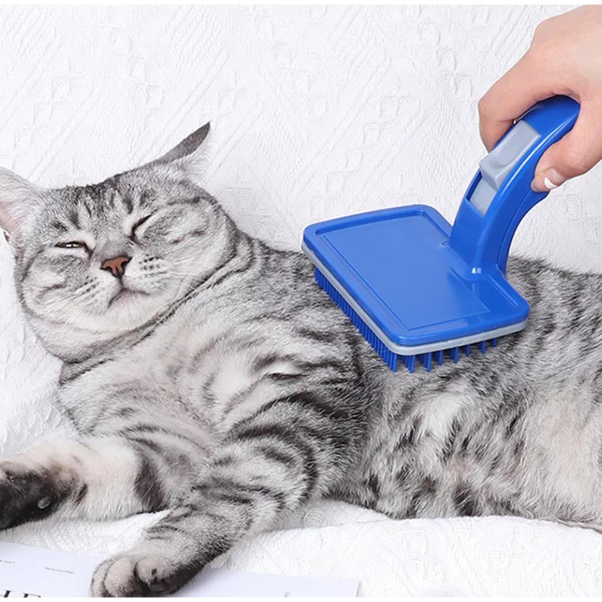 Picture of High Quality Pet Grooming Brush