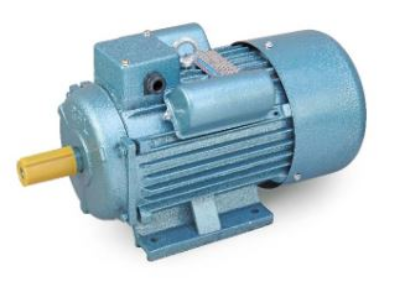 Buy Motor 3.00 HP,220V,2900rpm, (RYC 112M-2) Online at Best Price