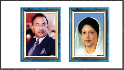 Picture of Premium PVC & HD Sticker Wallmate Set – 2pcs Combo