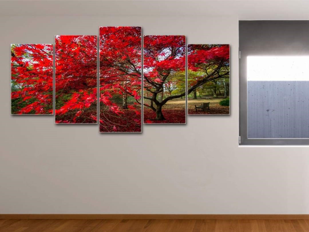 Picture of 5Pcs In 1 Set Wall Canvas Art printing