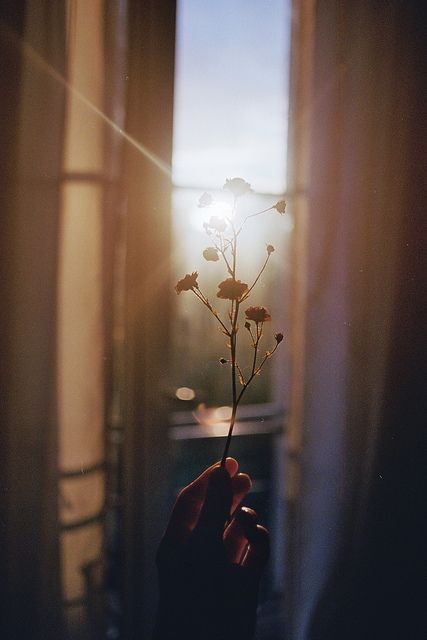 Pinterest