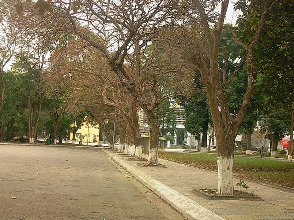 Mùa đông (Ảnh: Internet)