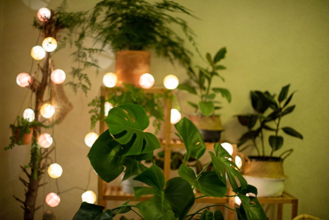 <i>Nguồn: Unsplash</i>