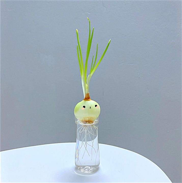 Em hành lớn của mình.