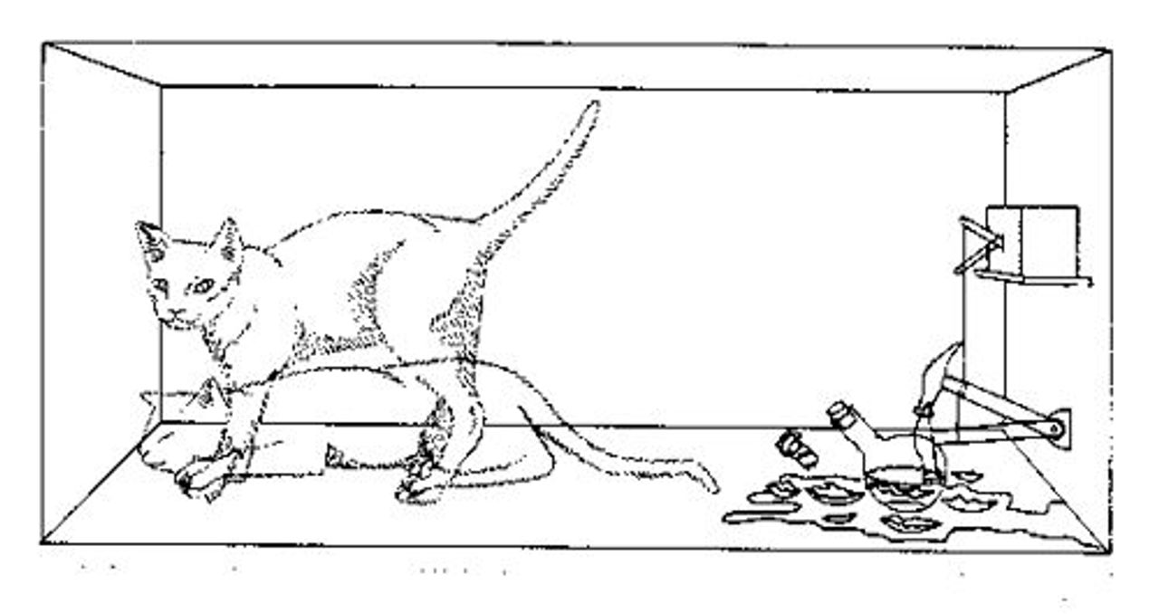Liệu chỉ có mỗi thế giới chúng ta tồn tại?