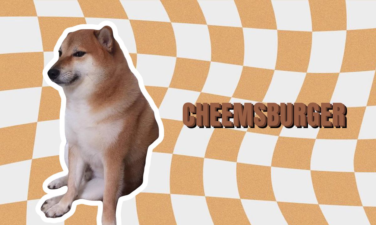 cheems-la-gi