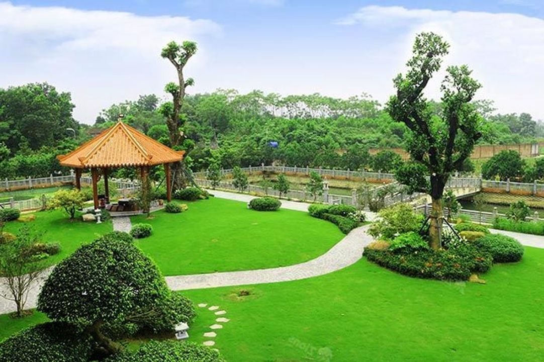 Sân vườn một ngôi nhà hiện đại giàu có