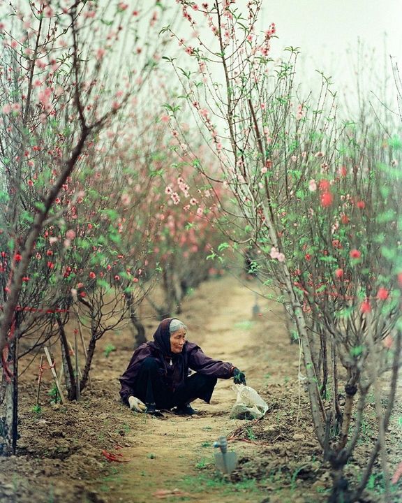 Photo: trongsont2