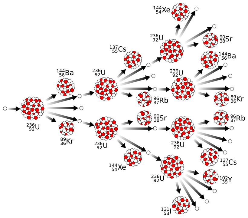 Khi số neutron trung bình sinh ra sau phản ứng là 1, đó là phản ứng phân hạch dây chuyền được kiểm soát. Khi con số lớn hơn 1 (hình trên), đó là phản ứng phân hạch dây chuyền không kiểm soát, giải phóng nguồn năng lượng rất lớn và gây ra vụ nổ nguyên tử (nguồn: Accesssience).
