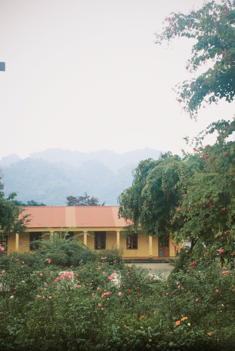 Vườn hoa mới