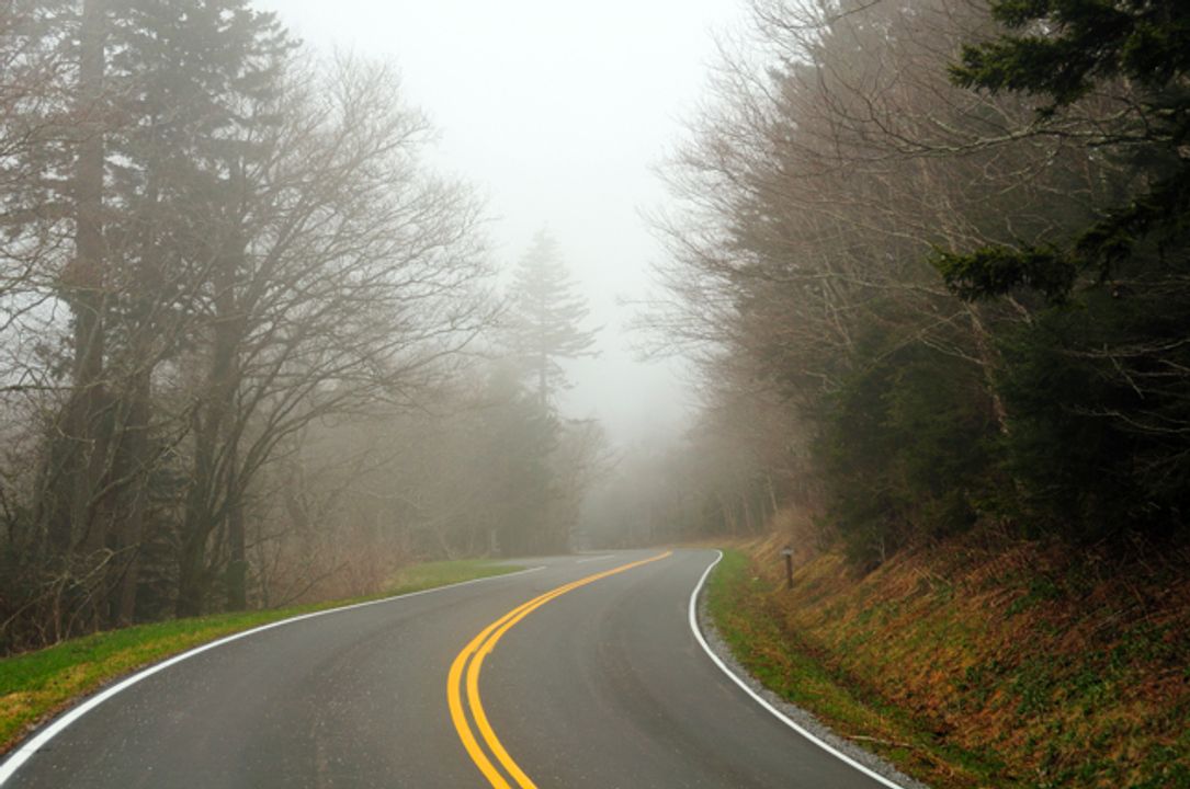 Source: <a href="https://www.wate.com/news/smoky-mountains/find-alternatives-to-cades-cove-loop-road-in-the-great-smoky-mountains/">Wate</a>
