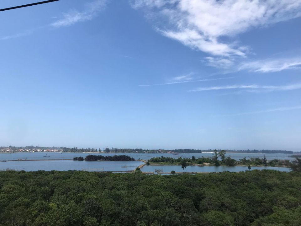Rừng ngập mặn Rú Chá