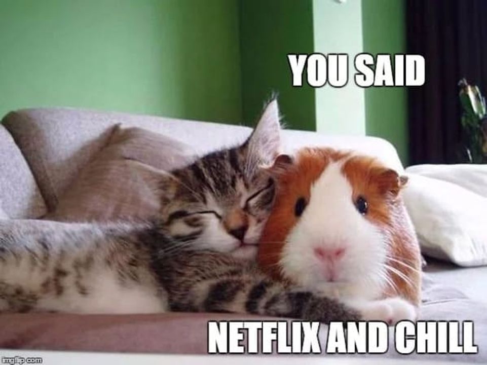 netflix-and-chill-meme