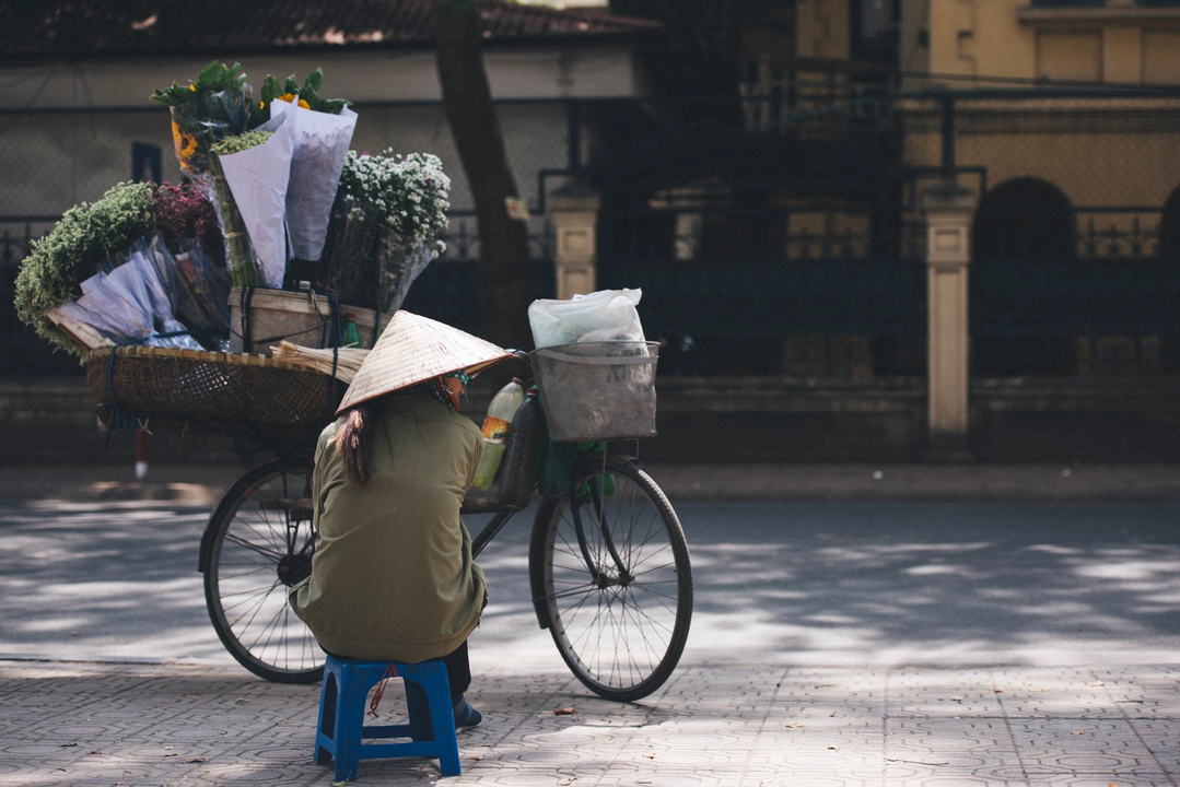 Tôi chỉ ích kỷ ngắm hoa trên đường, chưa một lần mua