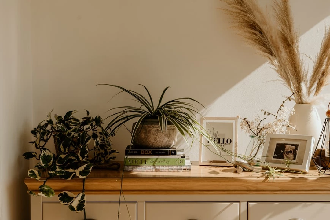 Nguồn: unsplash