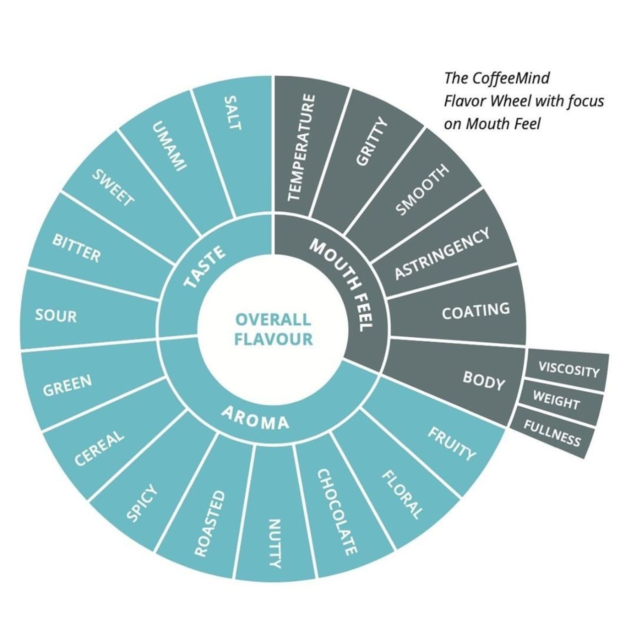 Basic Coffee Knowledge Coffee Basics for Beginners Helena Coffee Vietnam