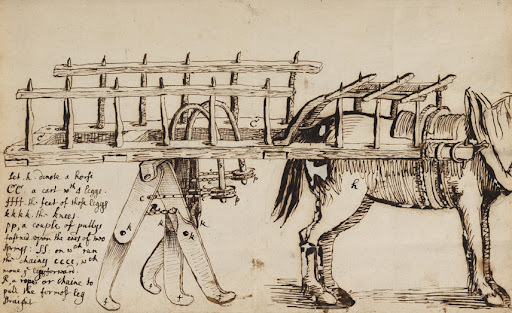 Một bức thư của Hội hoàng gia (nguồn: emlo-portal.bodleian.ox.ac.uk)