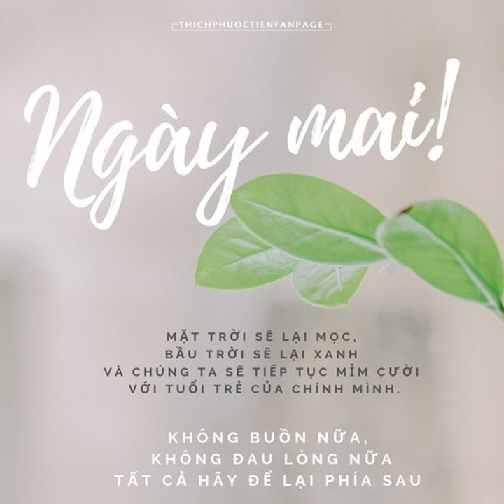 Lại hết 1 ngày rồi ư...!