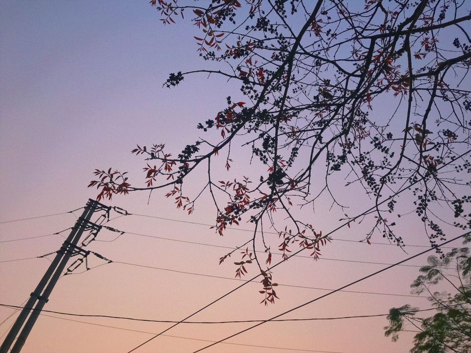 Tớ có nhiều đam mê lắm, nhưng tớ đã từ bỏ nhiều bởi không được ai ủng hộ