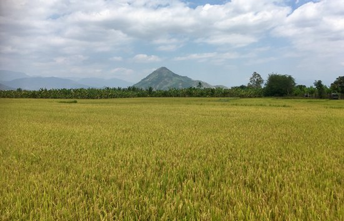 Quê hương không dành cho tất cả