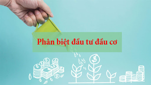 Đầu tư hay đầu cơ