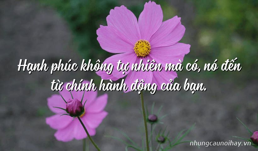 Nguồn ảnh: Những câu nói hay
