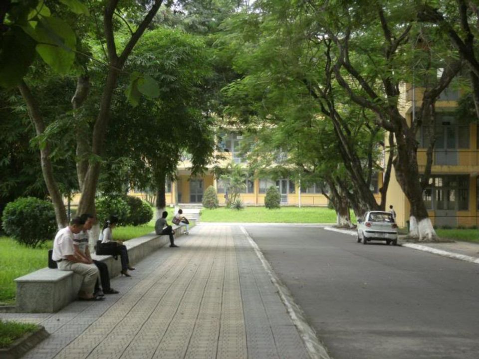 Con đường qua dãy nhà C dưới tán phượng vĩ (ảnh: Internet)
