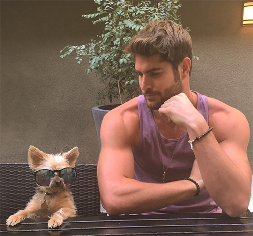 Khi đang vui đùa với thú cưng