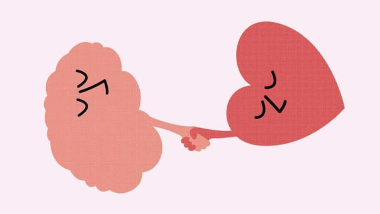 Nguồn: Internet