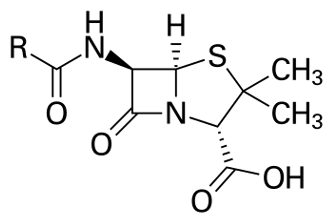 Cấu trúc nhân của Penicillin, với “R” là nhóm bất kỳ. Nguồn ảnh: Wikipedia.