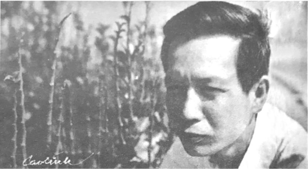 Tô Thùy Yên