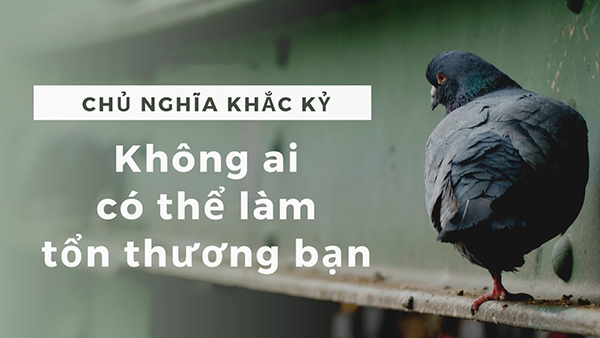 Nguồn: Internet
