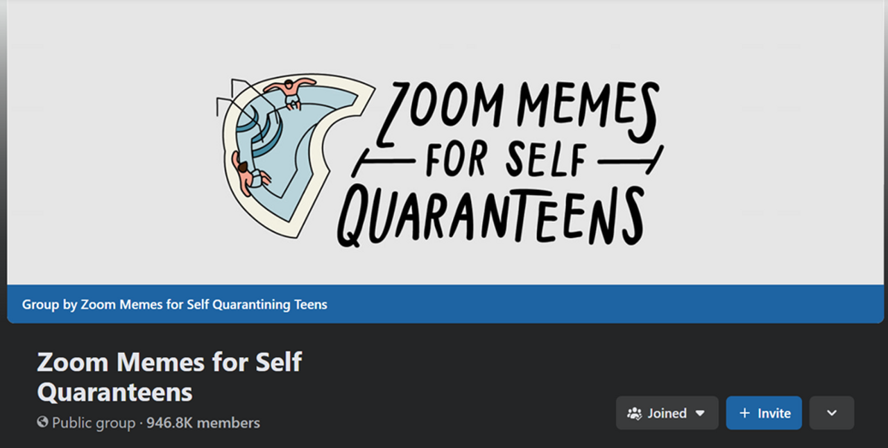 <i>Nhóm Facebook của Gen Z đến từ nhiều nước khác nhau, với đặc điểm chung là Zoom, meme và tự cách ly mùa dịch (self-quarantine)</i>