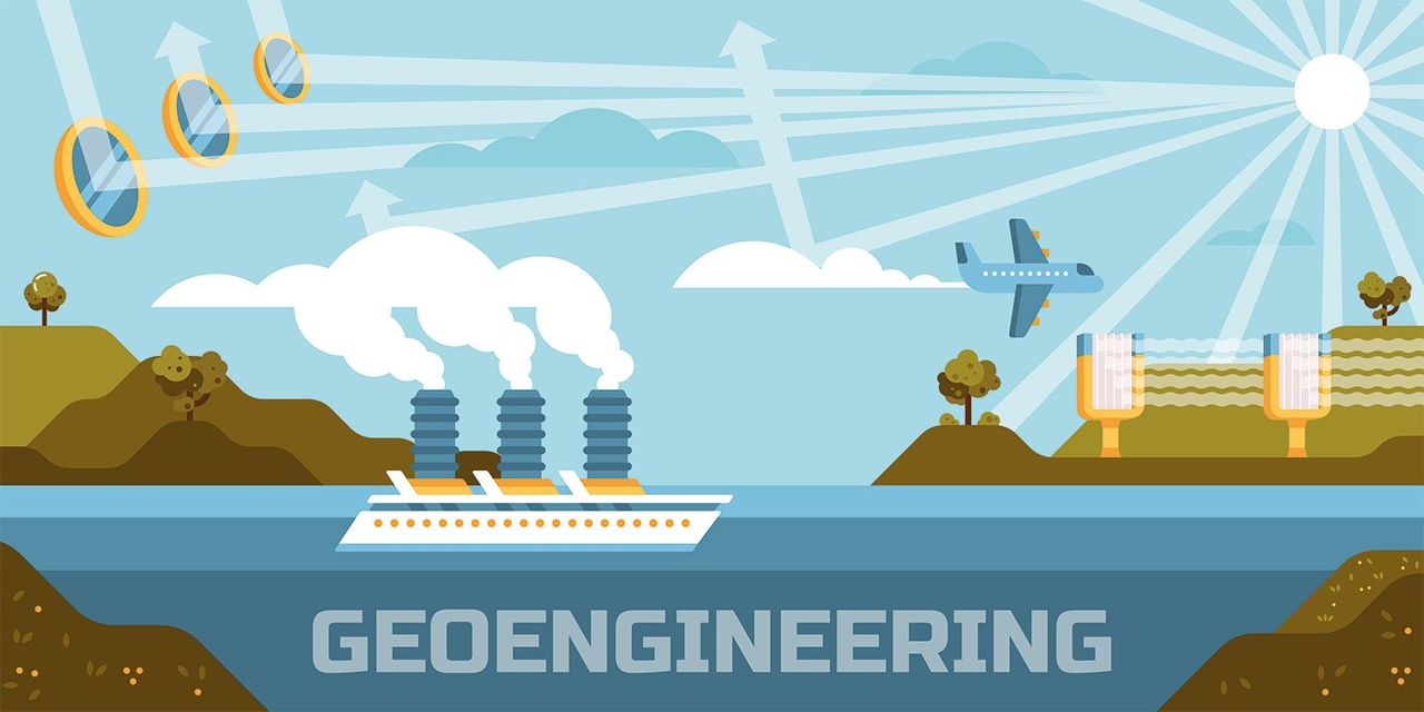 Ảnh minh họa. Nguồn ảnh: The Ecosia Blog.