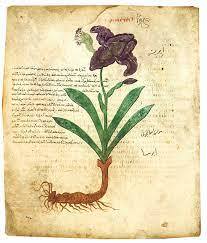 Review of Plant World of the Bible: Four different Scientists | Hans Arne Jensen