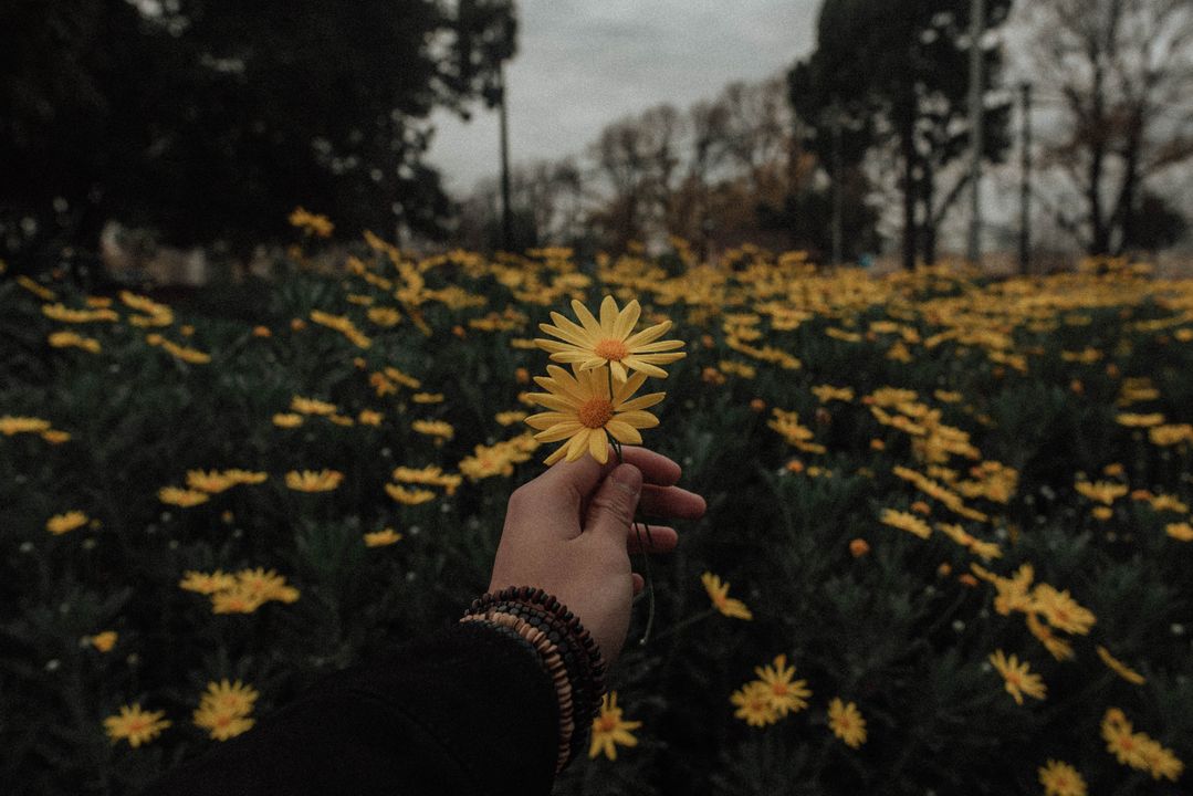 Photo by <a href="https://unsplash.com/@kxvn_lx?utm_source=unsplash&utm_medium=referral&utm_content=creditCopyText">kevin laminto</a> on <a href="https://unsplash.com/?utm_source=unsplash&utm_medium=referral&utm_content=creditCopyText">Unsplash</a>
