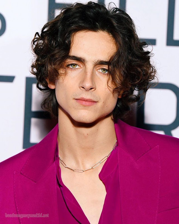 Timothée Chalamet (sinh 1995) - Paul Atreides