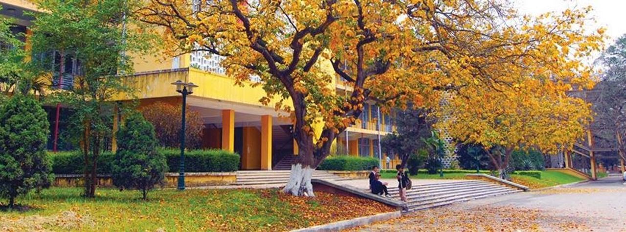 Mùa thu cổng C1 (Ảnh: Internet)