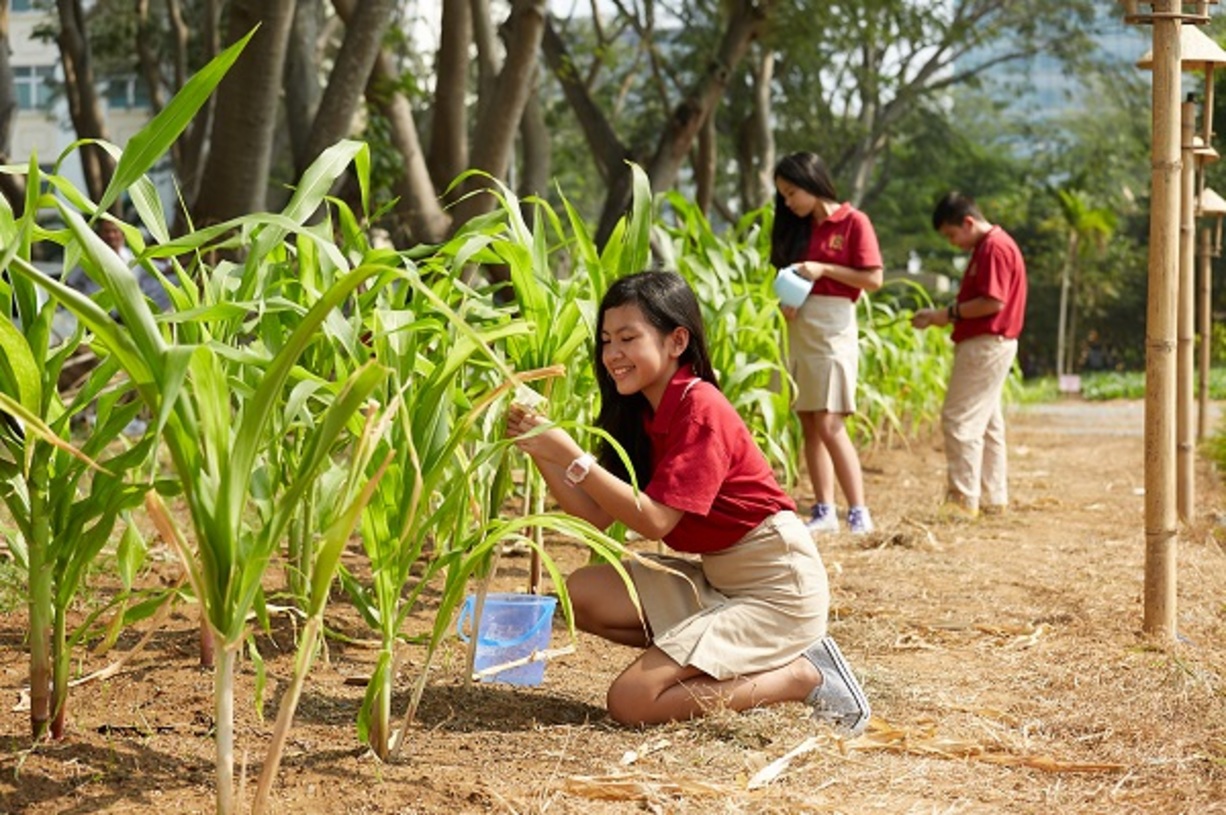 Tìm hiểu đặc điểm tâm sinh lý tuổi dậy thì giúp con bước vào tuổi dậy thì thành công