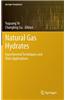 Natural Gas Hydrates