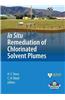 In Situ Remediation of Chlorinated Solvent Plumes
