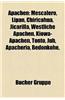 Apachen: Chiricahua, Mescalero, Lipan, Jicarilla, Westliche Apachen, Kiowa-Apachen, Tonto, Apacheria, Bedonkohe