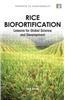 Rice Biofortification