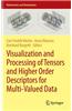 Visualization and Processing of Tensors and Higher Order Descriptors for Multi-Valued Data